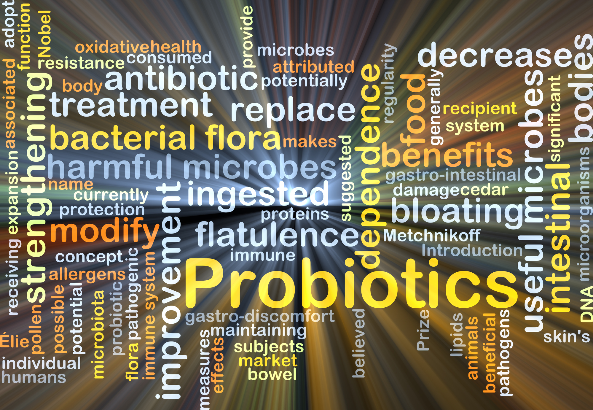 Probiotics: The Building Blocks for a Strong and Healthy Immune System