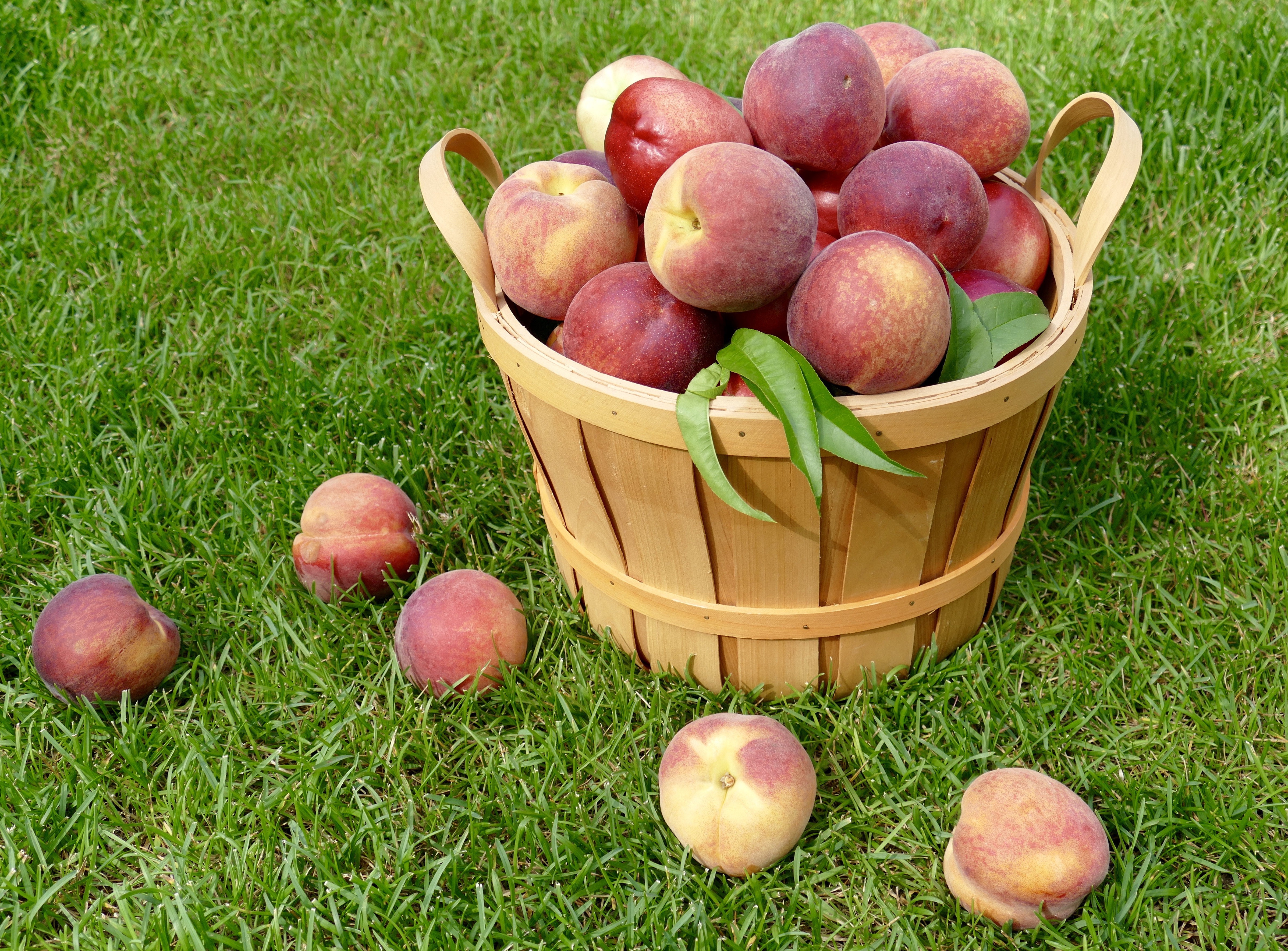 Wage A War Against Skin Damage With Peaches