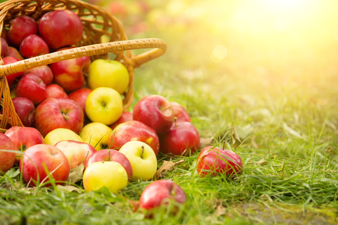 How Apples Can Help Your Skin